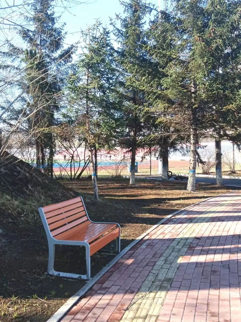 58D87